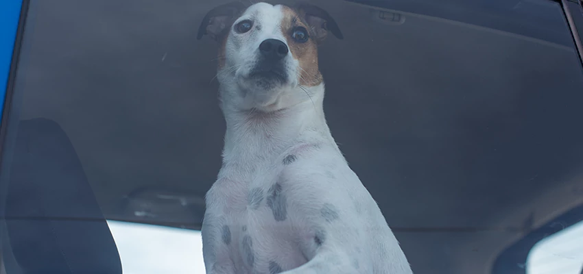 Car Lockout Solutions in San Juan Capistrano, California